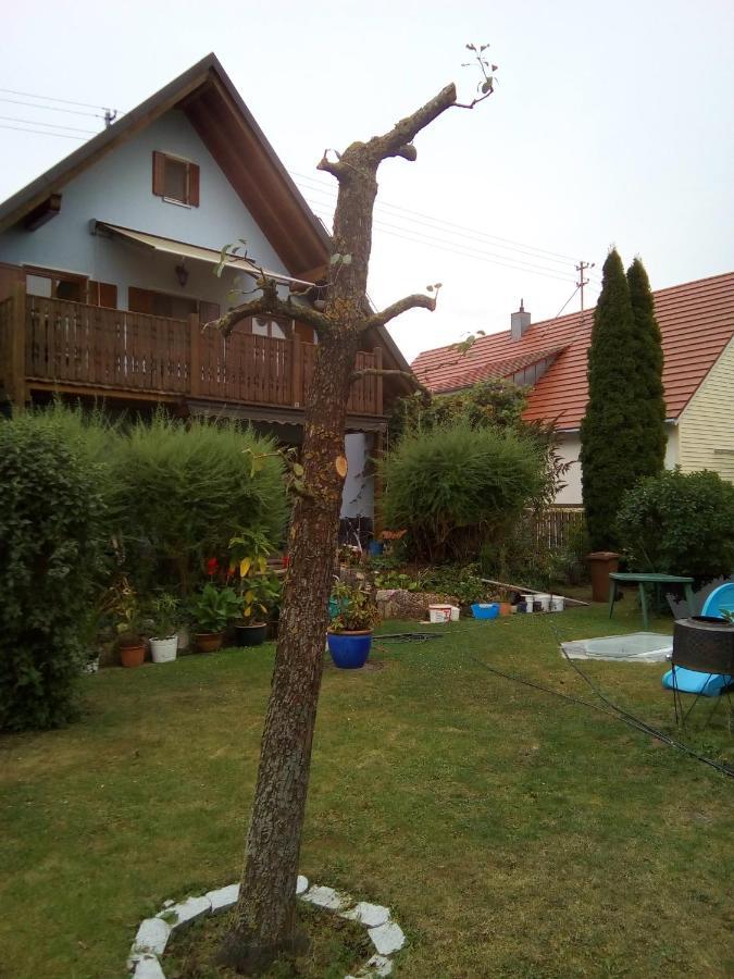 Villa Blue Nördlingen Esterno foto